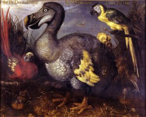 A painting of a dodo showing a rotund build and surrounded by tropical birds.