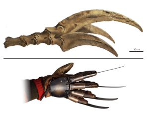 A comparison of fossil Therizinosaurus claws with the glove used by Freddy Kreuger.