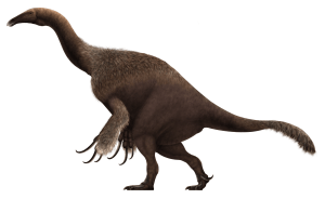A reconstruction of Therizinosaurus, showing a stout body, long slender neck, and large claws on the forearms.